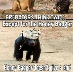 Meet your Posher, Alec